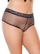 Cheeky panties, sheer mesh, wide lace edge, small dots, plus size